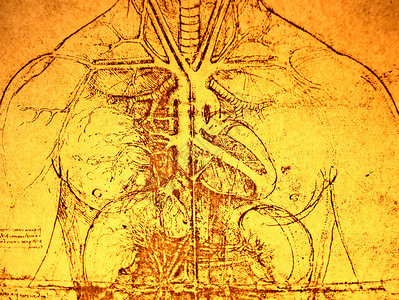 1492年达芬奇在带纹理的背景上拍摄的维图片