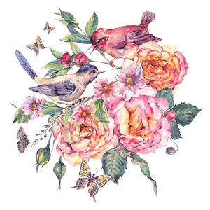 复古水彩花卉卡鸟和玫瑰盛开的枝条背景图片