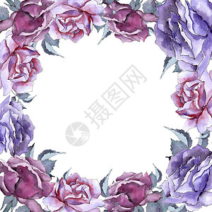 五颜六色的玫瑰花卉植物花框架边框装饰广场背景纹理包装图案框架或边框图片