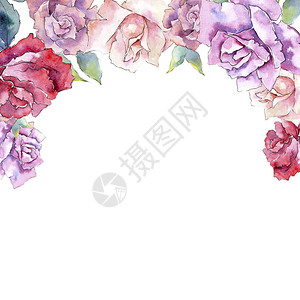 温柔的粉红玫瑰花卉植物花框架边框装饰广场背景纹理包装图案框架或边框图片
