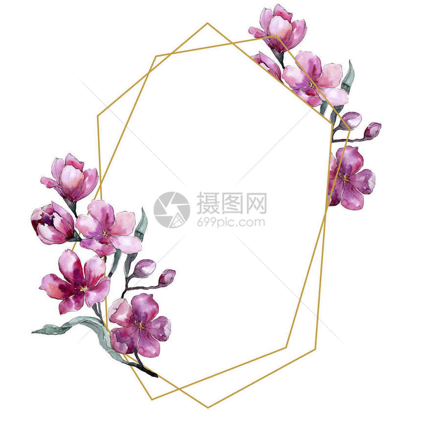 粉红色的花朵水彩花束花卉植物花框架边框装饰广场背景纹理包装图案框架或边框图片