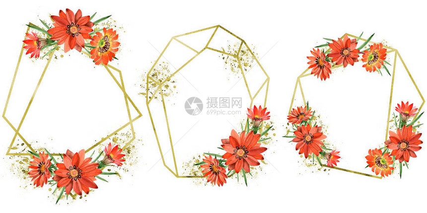 水彩橙色杂菊花卉植物花框架边框装饰广场背景纹理包装图案框架或边框图片