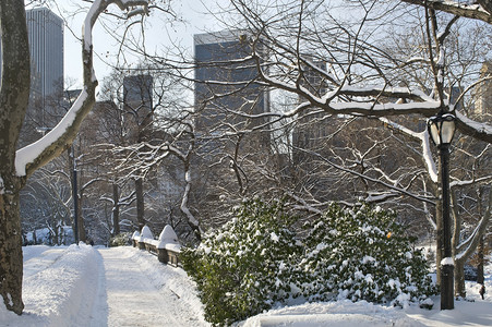 中央公园经典的冬季雪景在图片