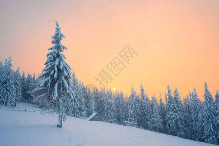 圣诞卡山上有木屋冬季风景和雪中图片