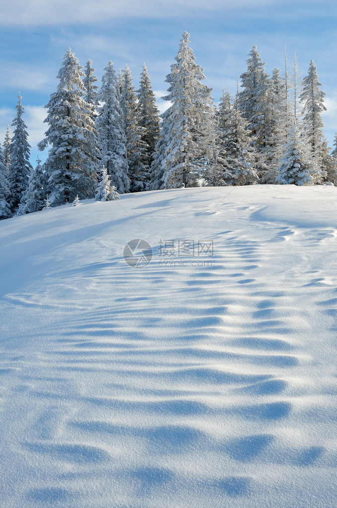 冬季风景与雪图片