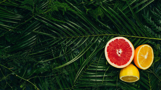 葡萄油柠檬和橙子在棕榈叶上半径图片