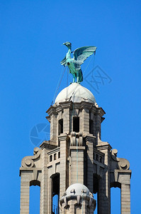 利物浦默西赛德英国西欧的皇家利物大图片