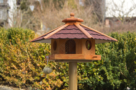 鸟箱公园里的鸟屋和喂食器图片