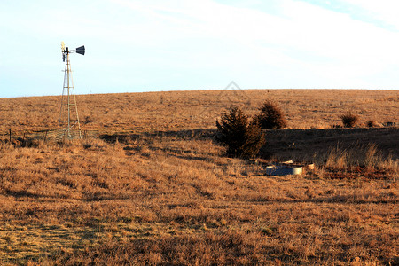 风车为牧场上的牲畜提供水图片