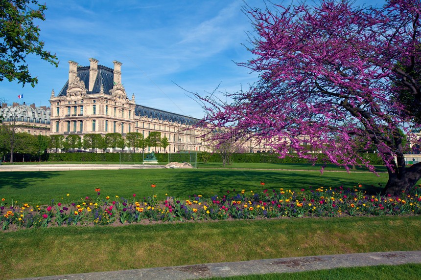 Louvre博物馆和JardindesTurilesries图里鱼园图片