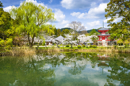 日本京都大觉寺高清图片