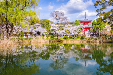 日本京都大觉寺景观高清图片