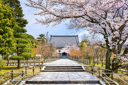 日本京都春季景色图片