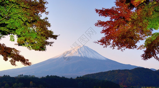 富士山全景与秋天的颜色背景图片