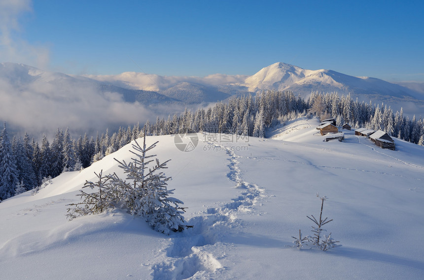 牧羊人山村冬季景观雪中的小路晴天圣诞节的样子喀尔巴阡山脉图片