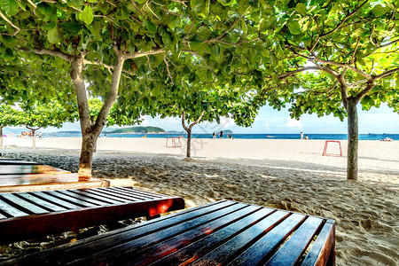 沙滩椅和树三亚图片