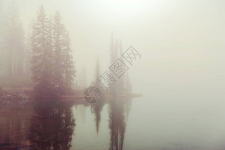 山中清晨宁静的雾山湖图片