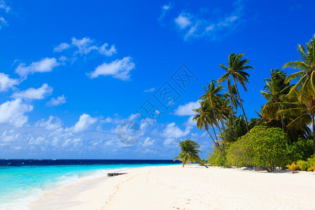 马尔代夫热带沙滩海图片