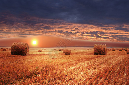 乡村景观在农田的日落图片