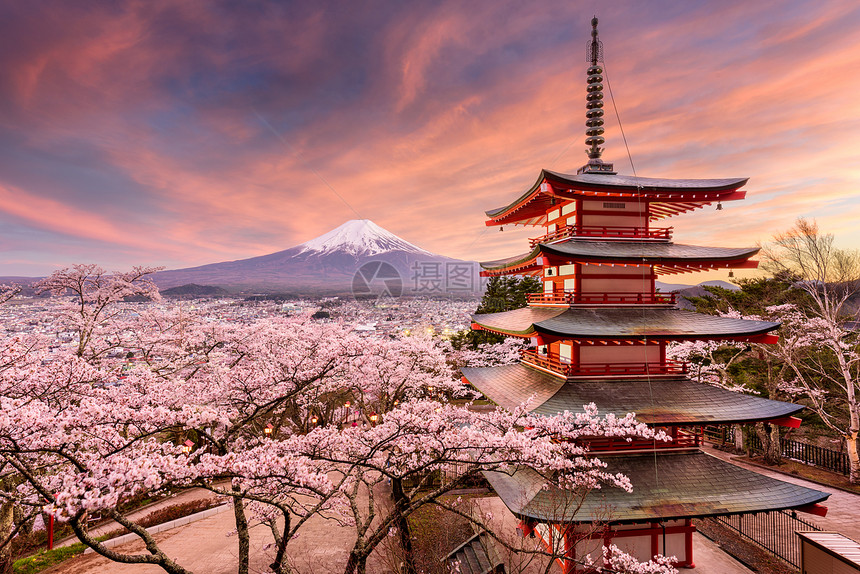 日本富士山和忠灵塔的景色图片