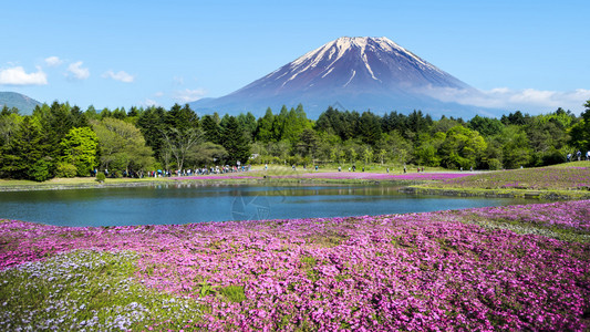 富士山下漂亮的春景图片