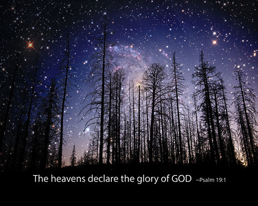 诸天宣扬神的荣耀远处有一片星域映衬的森林星图由NASA和公共领域提供诗背景图片