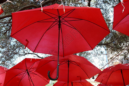 保护伞防止下雨和炎热图片