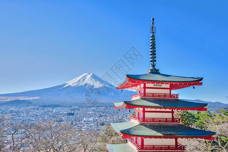 日本东京附近的藤图片