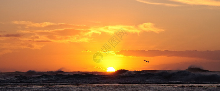 鸟儿在日落时在暴风雨的大海上俯冲图片