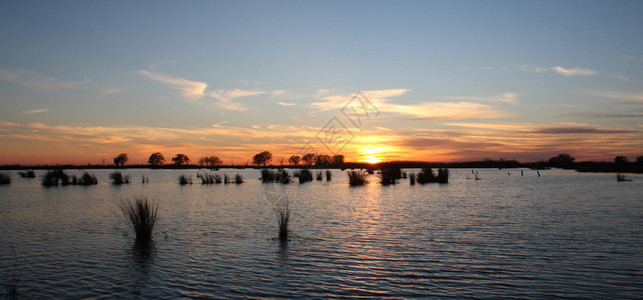 日落时从北岸看庞恰特雷恩湖图片