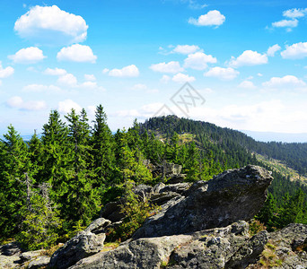 德国巴伐利亚公园森林的山顶上的夏日风景克图片