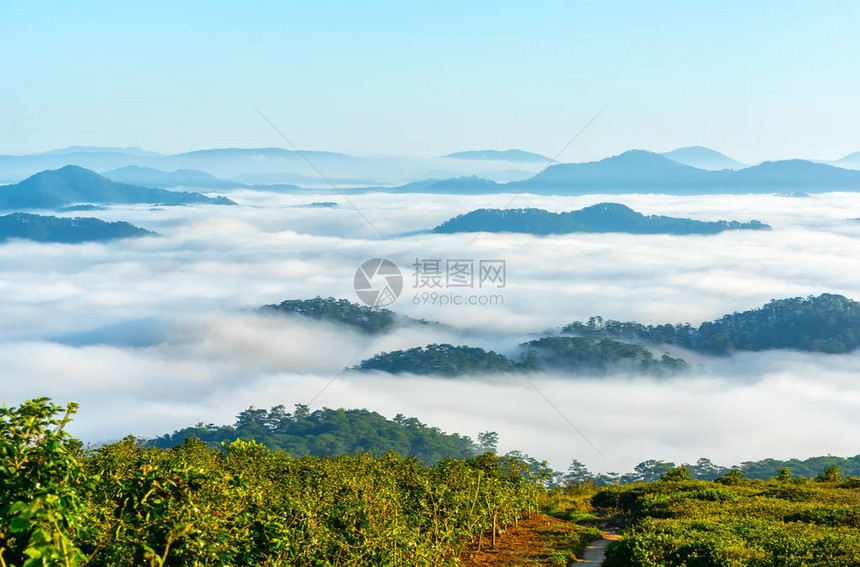 风云的晨雾笼罩着山谷就像飘浮在越南达拉特高原图片