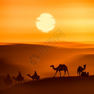 美丽的暮光景色沙漠中骆背景图片