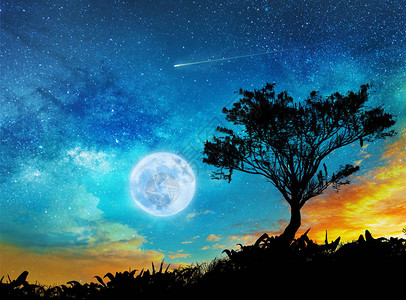 星空满月和树的夜色飘荡着图片