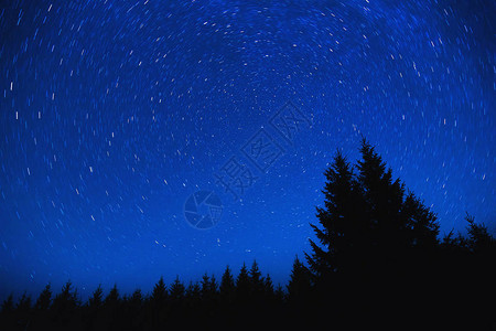 北极星周围的星迹和森林剪影图片