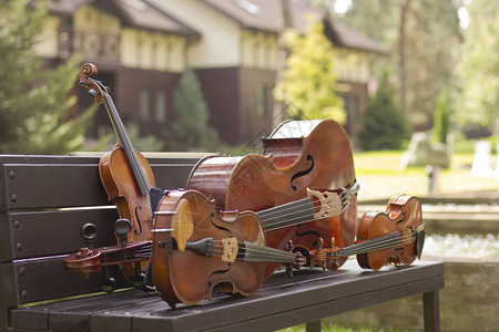 弦乐四重奏大提琴中提琴小提琴现场音乐背景图片