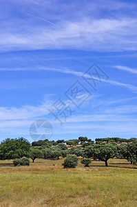 葡萄牙阿连特茹的乡村景观图片