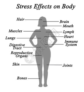压力对身体的影响图片