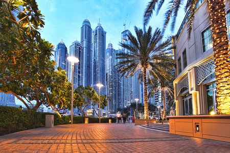 迪拜Marina图片