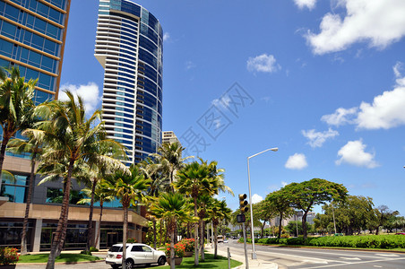 夏威夷Waikiki的豪图片