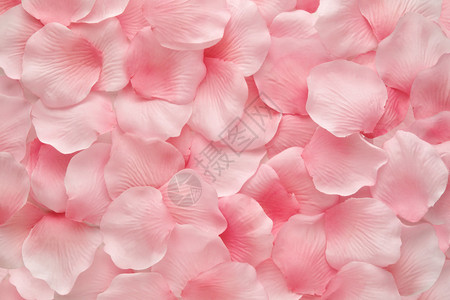 在随机堆积的粉红玫瑰花瓣中美丽的精图片