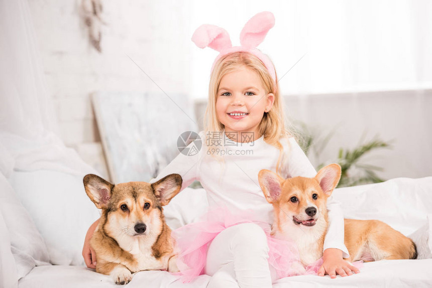 穿着耳朵的可爱孩子头带和WelshCorgi狗一起图片