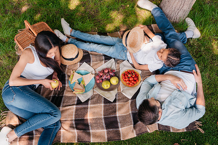 一家人一起野餐的俯视图图片