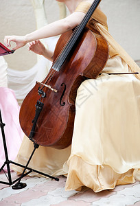 古典音乐或婚礼概念有选图片