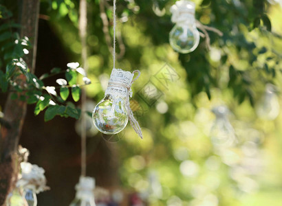 户外婚礼装饰的玻璃灯泡图片