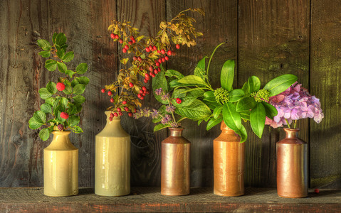 风化木质背景下乡村花瓶中干花的静物画图片