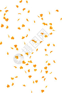 秋天落叶的背景背景图片
