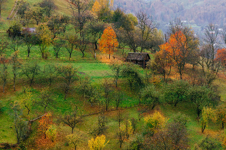 在山村的山坡上的秋天自然之美图片