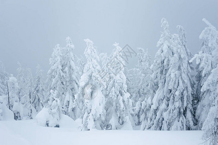 喀尔巴阡山脉暴风雪图片