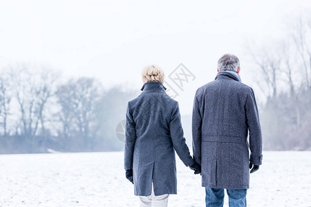 老年夫妇冬季散步图片